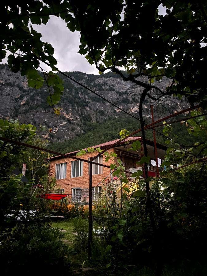 Guest House Oasis - Tvishi エクステリア 写真